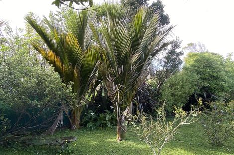 Photo of property in 5 Corbett Street, Hector, 7822