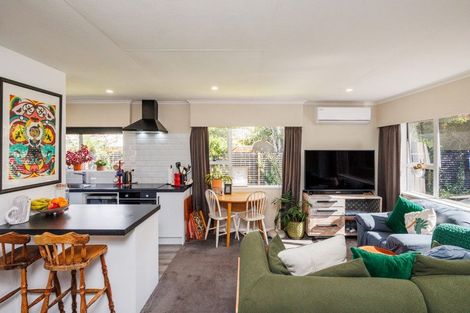 Photo of property in 12d Colombo Street, Hokowhitu, Palmerston North, 4410