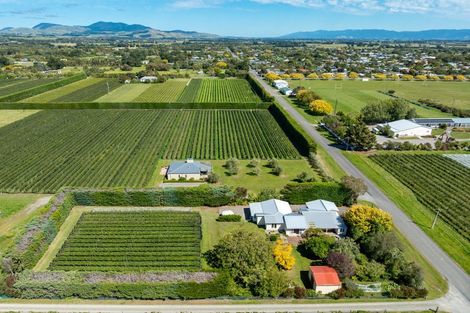 Photo of property in 190 Regent Street, Martinborough, 5711