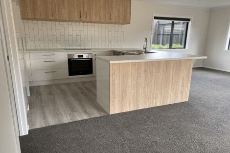 Photo of property in 77a Guy Avenue, Takaro, Palmerston North, 4410