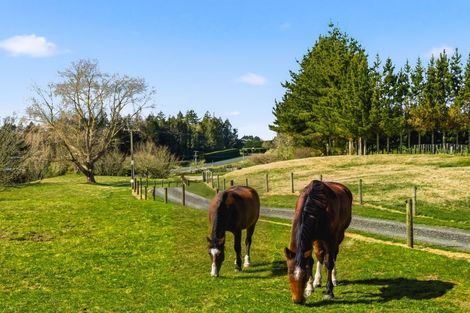 Photo of property in 1465 Poihipi Road, Oruanui, Taupo, 3377