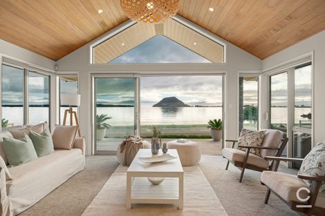 Photo of property in 81b Kulim Avenue, Otumoetai, Tauranga, 3110