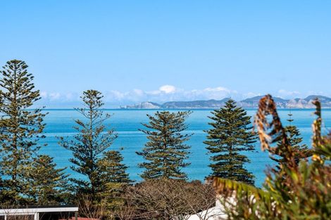 Photo of property in 16 Brewster Street, Bluff Hill, Napier, 4110