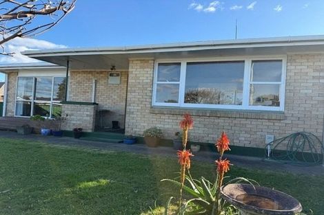 Photo of property in 67 Manley Grove South, Gate Pa, Tauranga, 3112