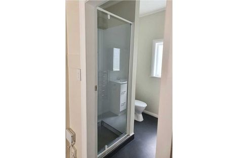 Photo of property in 68 Coromandel Street, Newtown, Wellington, 6021