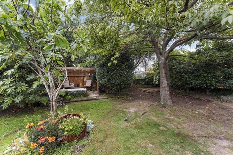 Photo of property in 32 Nelson Street, Feilding, 4702