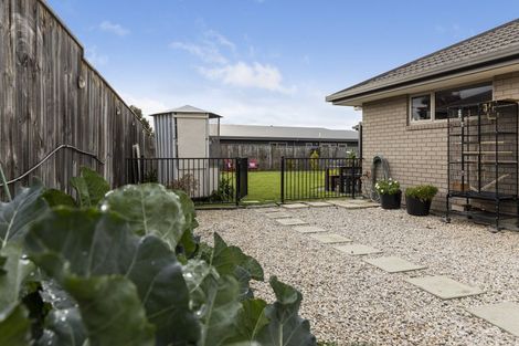 Photo of property in 7 Payne Place, Witherlea, Blenheim, 7201