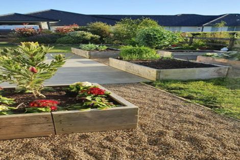 Photo of property in 7 Pukeko Grove, Cambridge, 3434