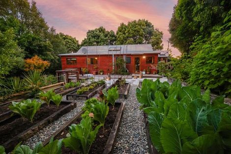 Photo of property in 6 Barclay Street, North East Valley, Dunedin, 9010