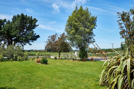 Photo of property in 565 Mt Fyffe Road, Kaikoura Flat, Kaikoura, 7371