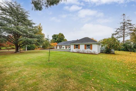 Photo of property in 8 Skerman Street, Marton, 4710