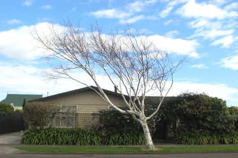 Photo of property in 70 Kennedy Drive, Levin, 5510