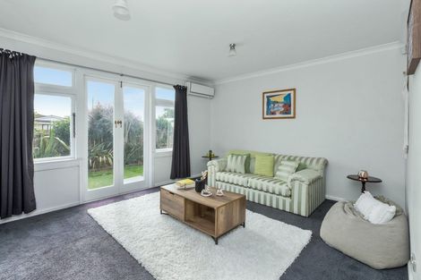 Photo of property in 819 Ferguson Street, Akina, Hastings, 4122