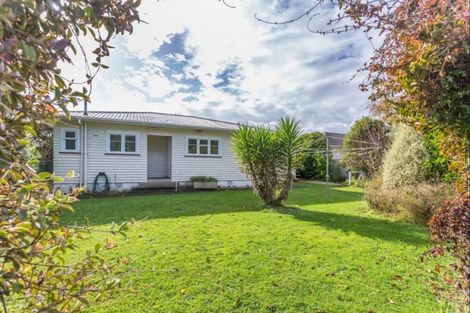 Photo of property in 21 Carlisle Street, Levin, 5510