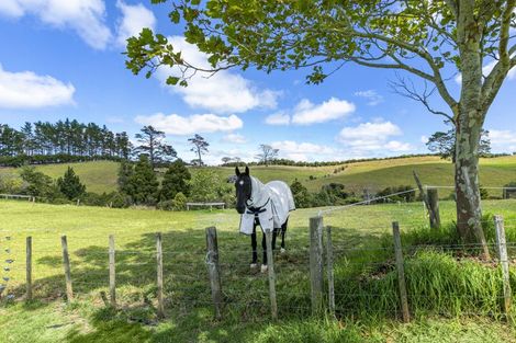 Photo of property in 263 Whitehills Road, Waitoki, Silverdale, 0994