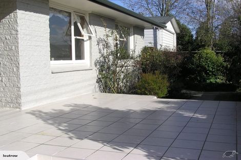 Photo of property in 72 Frank Street, Papanui, Christchurch, 8053