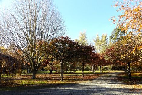 Photo of property in 1437 Pohangina Road, Pohangina, Ashhurst, 4884