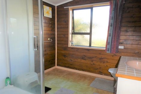 Photo of property in 47 Omapere Street, Dobson, Greymouth, 7805