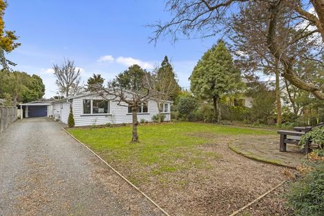 Photo of property in 43 Croziers Road, St Albans, Christchurch, 8052