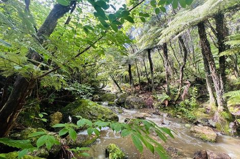 Photo of property in 275 Lillis Lane, Coromandel, 3506