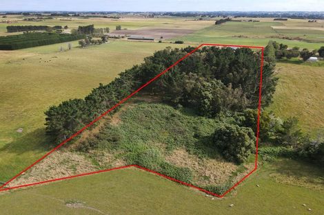 Photo of property in 122 Kilkern Road, Marton, Bulls, 4894