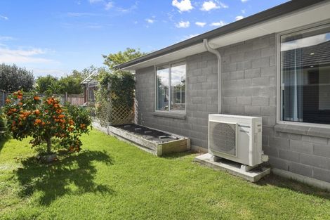 Photo of property in 22b Clive Road, Katikati, 3129