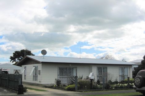 Photo of property in 20 Strathmore Avenue, Levin, 5510