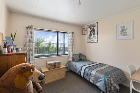 Photo of property in 24b Douglas Street, Levin, 5510