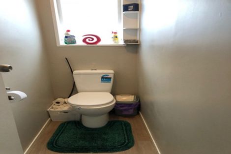 Photo of property in 16 Te Takinga Street, Turangi, 3334