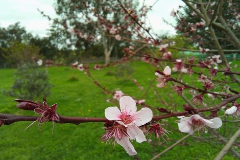 Photo of property in 967 Leader Road West, Waiau, Cheviot, 7384