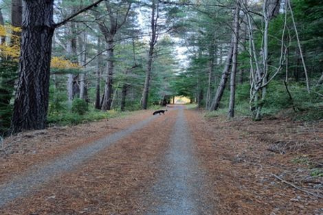 Photo of property in 17 Torquay Terrace, Hanmer Springs, 7334