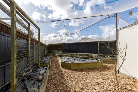 Photo of property in 6 Humphries Place, Awapuni, Palmerston North, 4412