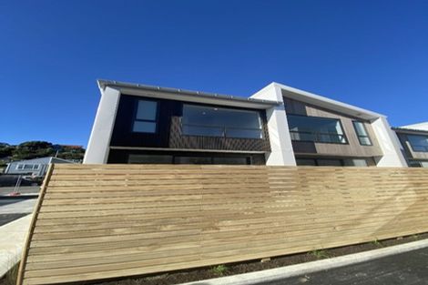 Photo of property in 2b Mamari Street, Rongotai, Wellington, 6022