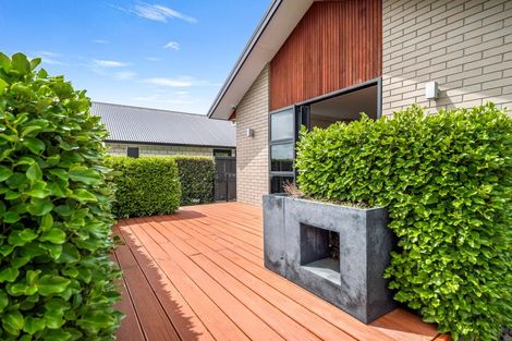 Photo of property in 54 Norfolk Drive, Cambridge, 3434