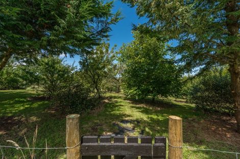 Photo of property in 35 Hurunui Lane, Kinloch, Taupo, 3377