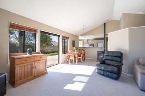 Photo of property in 19 Appaloosa Avenue, Richmond, 7020