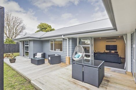 Photo of property in 96a Limbrick Street, Terrace End, Palmerston North, 4410