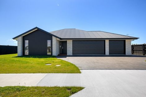 Photo of property in 56 Greig Crescent, Amberley, 7481