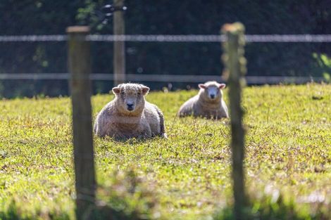 Photo of property in 2 Kirian Lane, Pollok, 2684