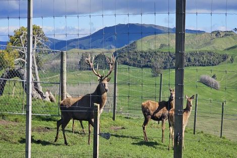 Photo of property in 455 Tukairangi Road, Nukuhau, Taupo, 3385