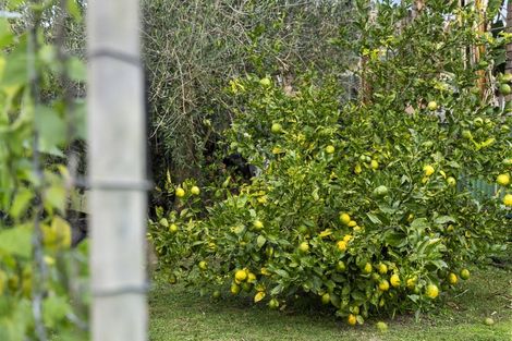 Photo of property in 160 Rosebank Road, Avondale, Auckland, 1026