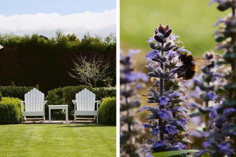 Photo of property in 46 Prestidge Road, Aongatete, Katikati, 3181