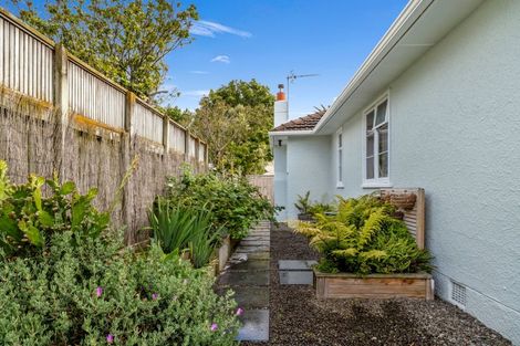 Photo of property in 25 Vernon Avenue, Takaro, Palmerston North, 4412