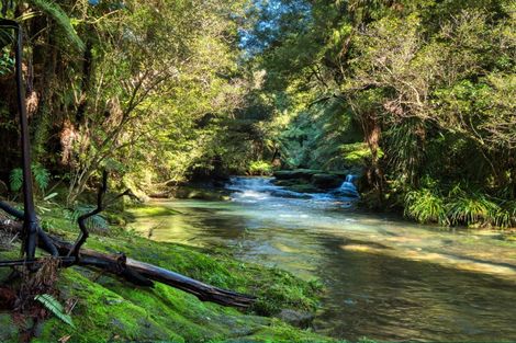 Photo of property in 101 Ross Road, Whakamarama, Tauranga, 3179