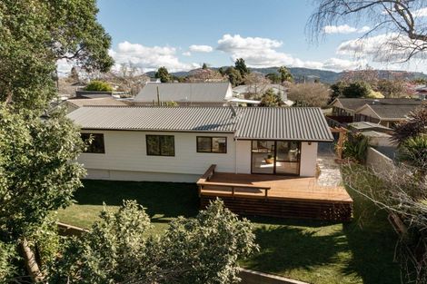 Photo of property in 14 Hastings Street, Te Puke, 3119