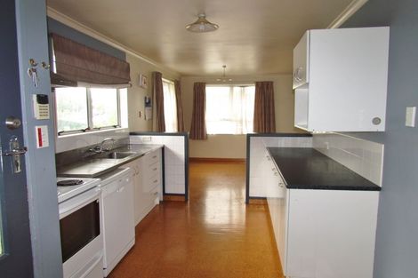 Photo of property in 17 Manchester Street, Solway, Masterton, 5810