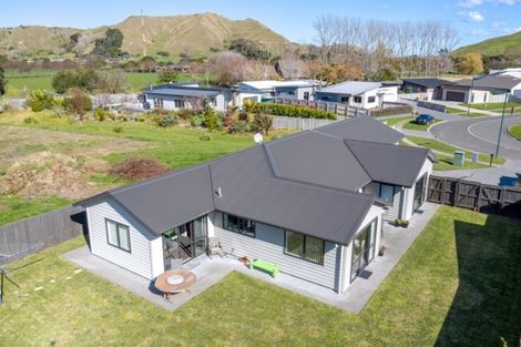 Photo of property in 36 Hamilton Drive, Wainui, Gisborne, 4010