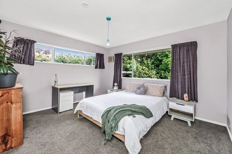 Photo of property in 28 Taumutu Road, Southbridge, 7602