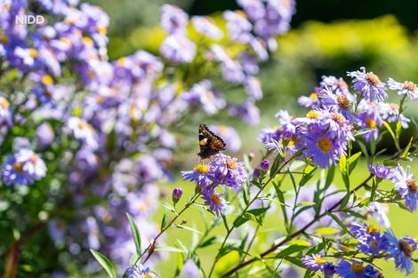 Photo of property in 56 Burgess Road, Herbert, Oamaru, 9495