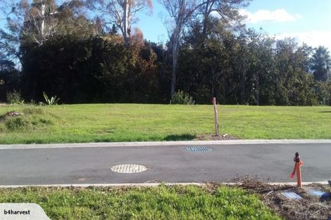 Photo of property in 16 Nelson Lane, Omokoroa, 3114